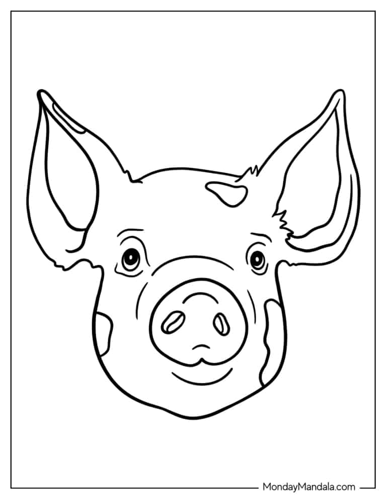 simple outline of a pigs head to color jpg jpg