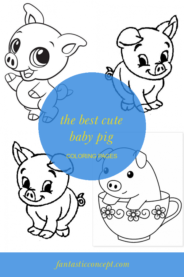 stg gen cute baby pig coloring pages best of baby pig coloring printable png jpg