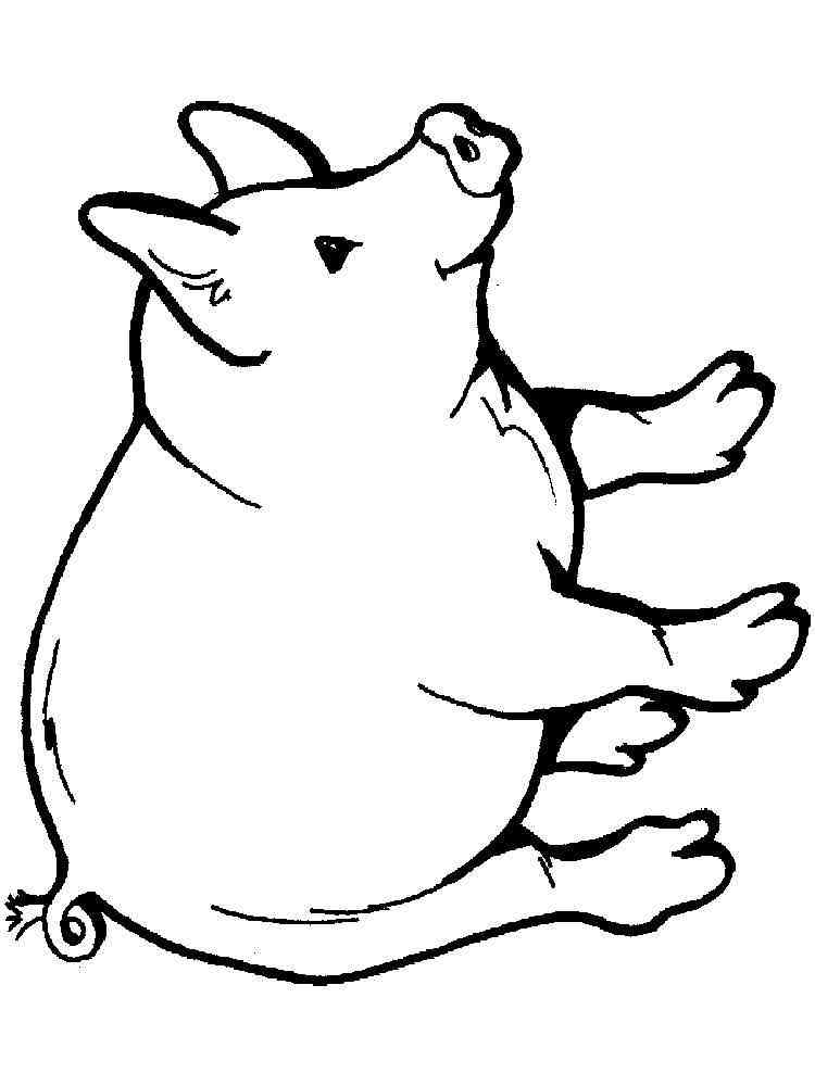 interactive simple pig coloring pages printable jpg