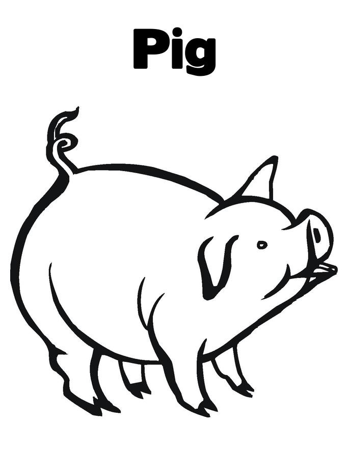 downloadable cartoon pig coloring pages printable jpg