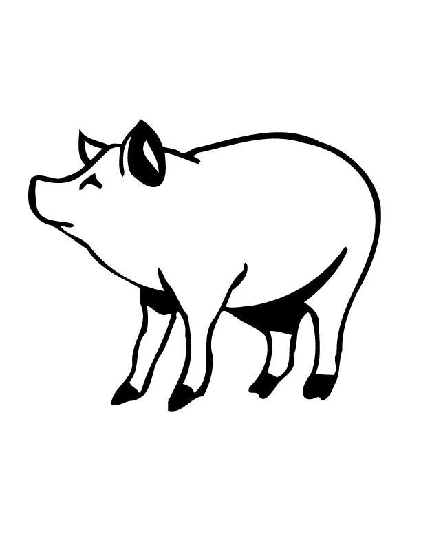 downloadable cartoon pig coloring pages printable jpg