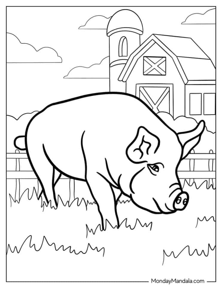 artistic simple pig coloring pages printable jpg