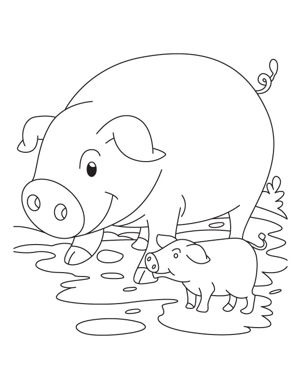 detailed simple pig coloring pages printable jpg