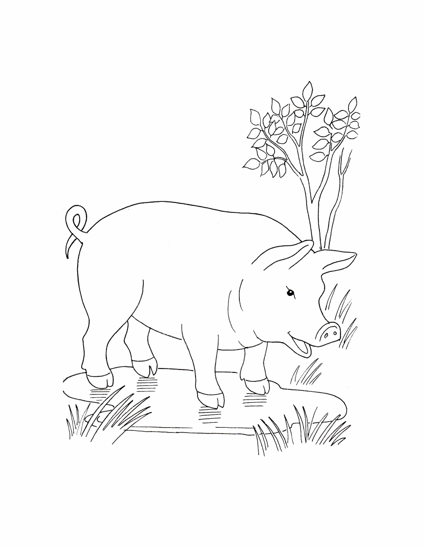 cheerful simple pig coloring pages printable jpg