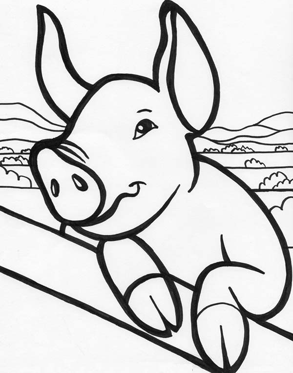 adorable simple pig coloring pages printable jpg