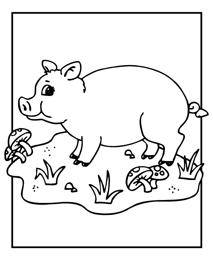 92+ Easy Cartoon Pig Coloring Pages Printable