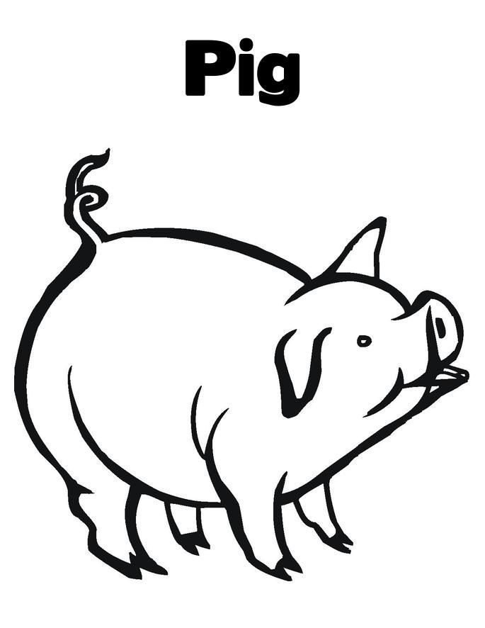 cute pig coloring pictures printable jpg