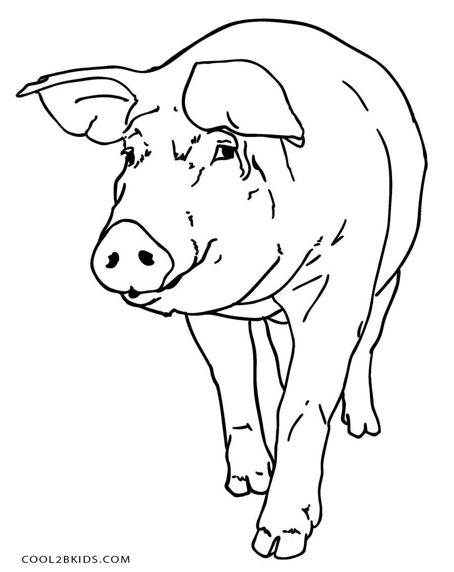 cute pig coloring pictures printable jpg