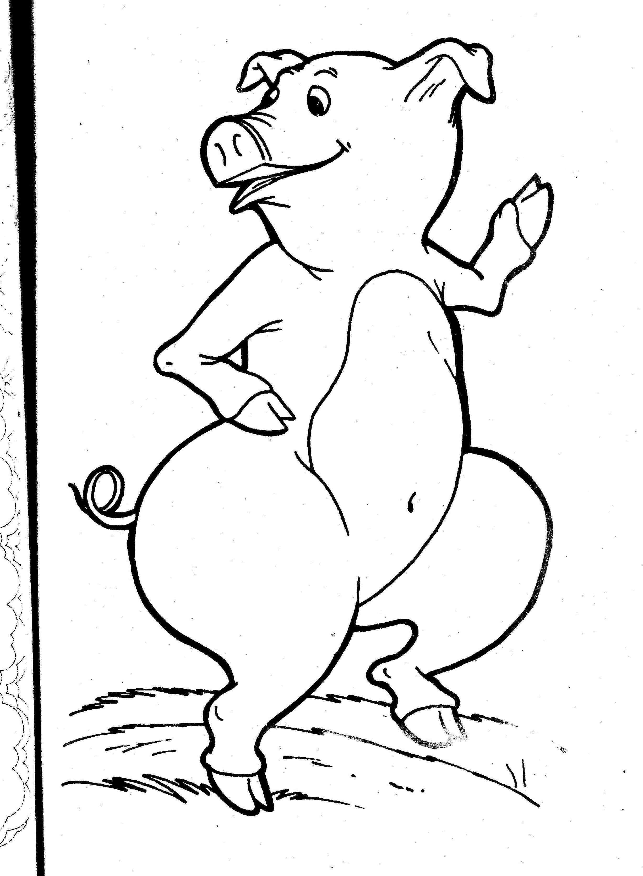 coloring pages of pig jpg jpg