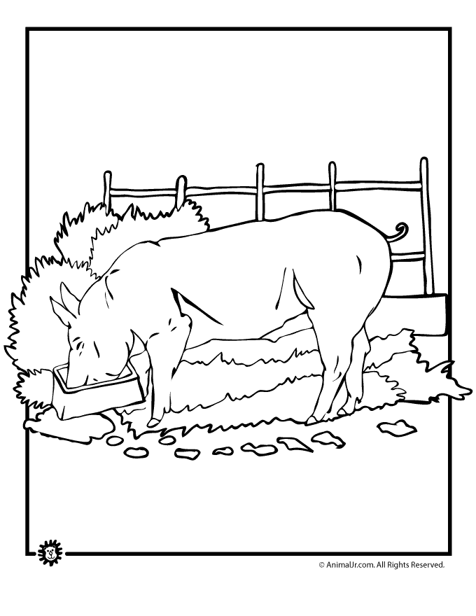 farm pig coloring page gif jpg