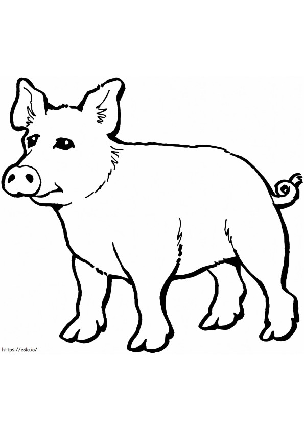 142+ Lovely Realistic Pig Coloring Pages Printable