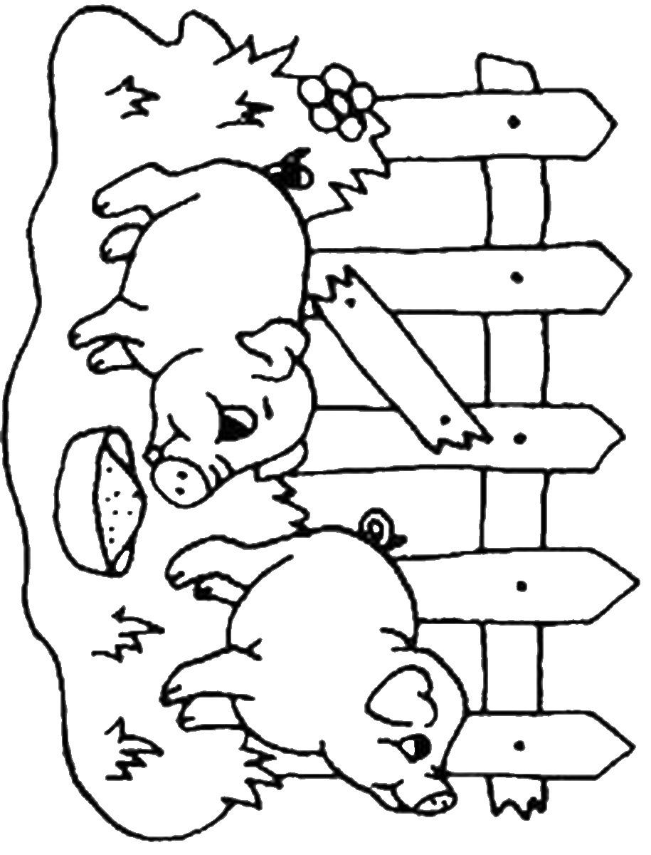 34+ Colorful Easy Pig Coloring Pages Cute