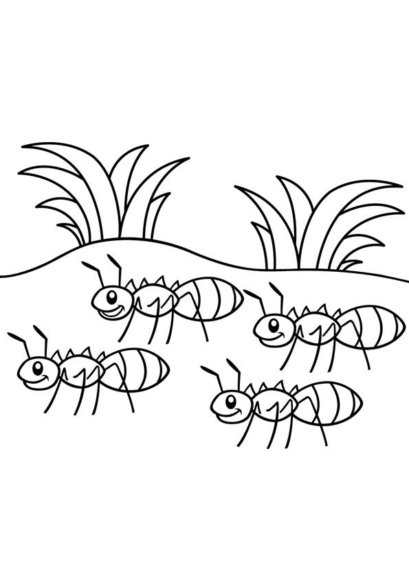 31+ Free Cute Ant Coloring Pages PDF Printable