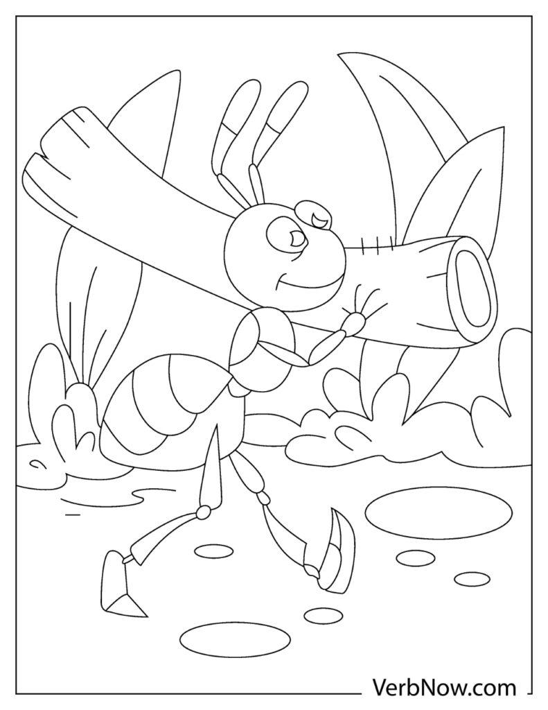 49+ Download Cute Ant Coloring Pages Colored