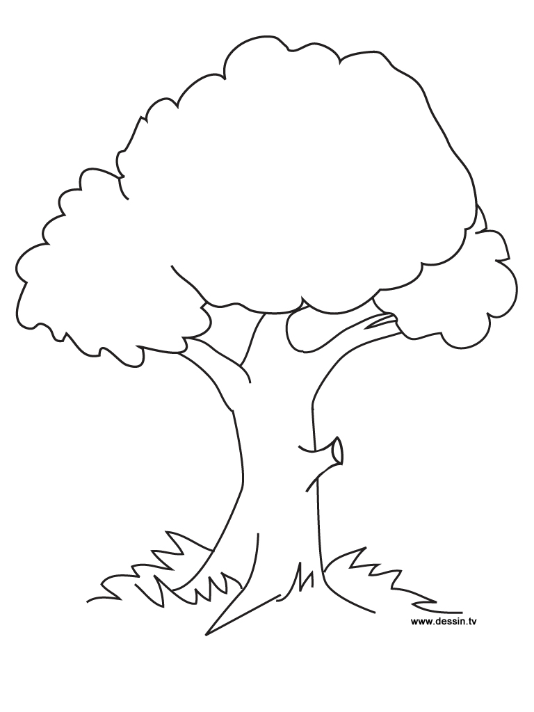 10 Cartoon Tree Coloring Pages for Nature Lovers: Unleash Your Inner Artist