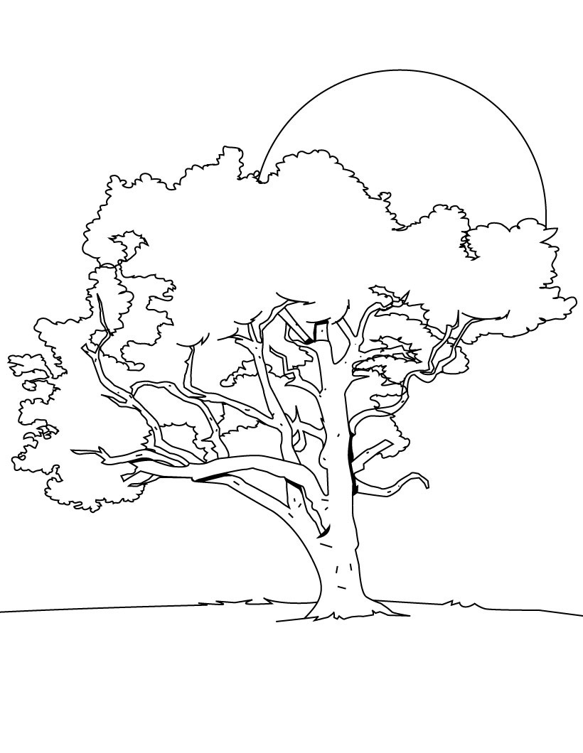 10 Cartoon Tree Coloring Pages for Nature Lovers: Unleash Your Inner Artist