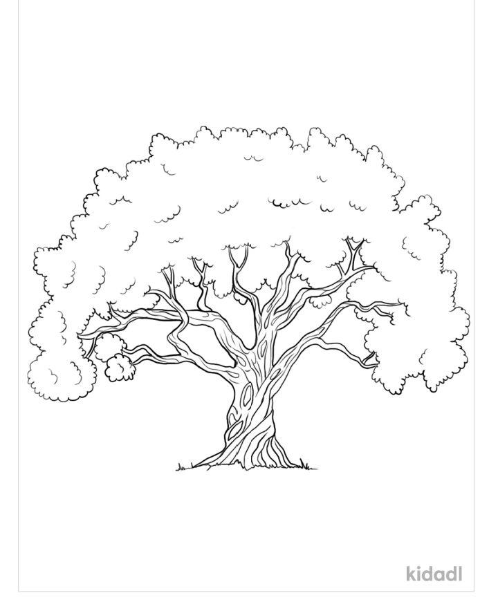 10 Cartoon Tree Coloring Pages for Nature Lovers: Unleash Your Inner Artist