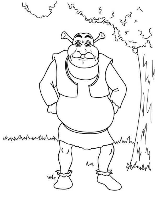 10 Hilarious Shrek Cartoon Coloring Pages to Print for Hours of Fun