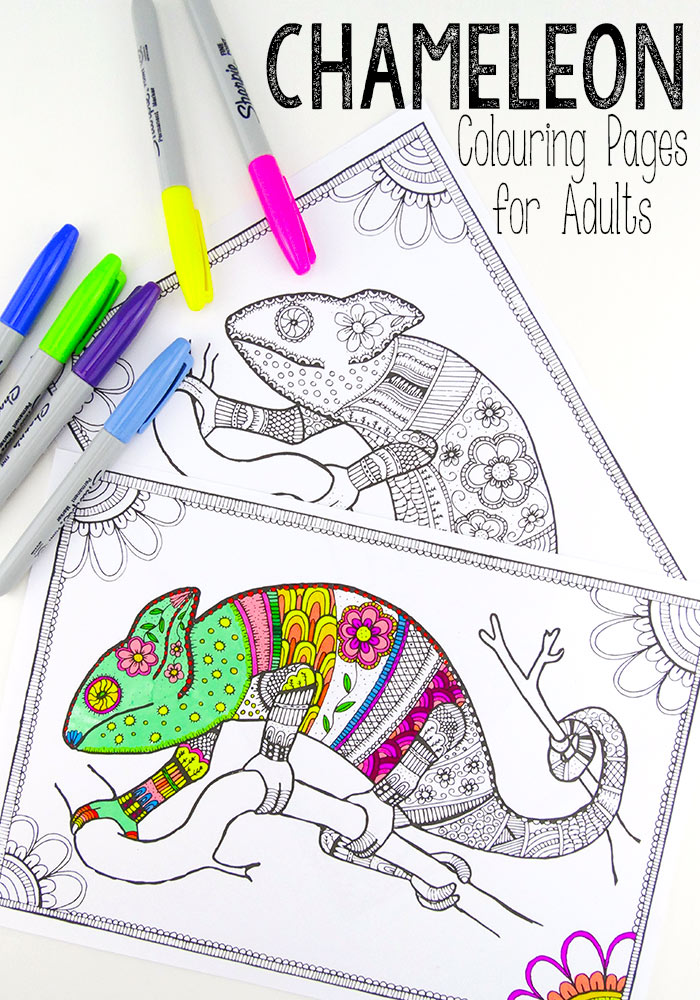 10 Simple Cartoon Coloring Pages for Grown Ups: Unwind and De-Stress