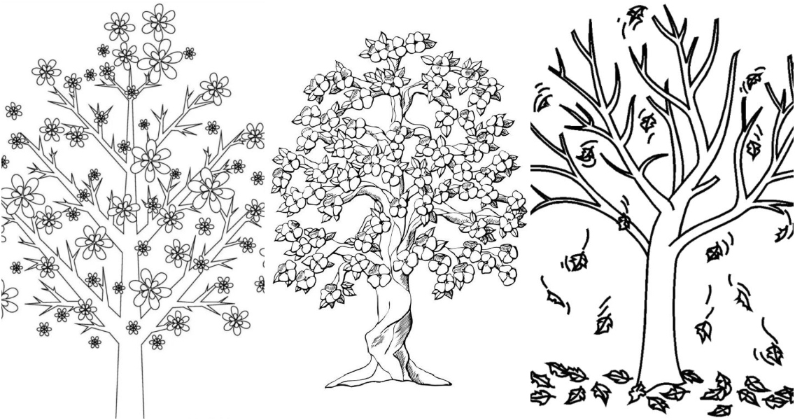 10 Cartoon Tree Coloring Pages for Nature Lovers: Unleash Your Inner Artist