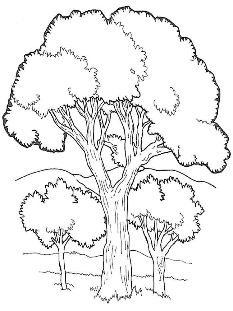 10 Cartoon Tree Coloring Pages for Nature Lovers: Unleash Your Inner Artist