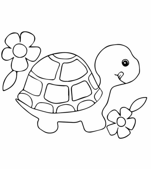 11+ Sea Turtle Coloring Pages for Toddlers Printable 11